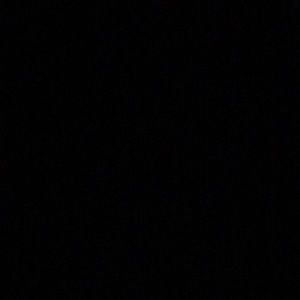 Meet your Posher, Shyanne